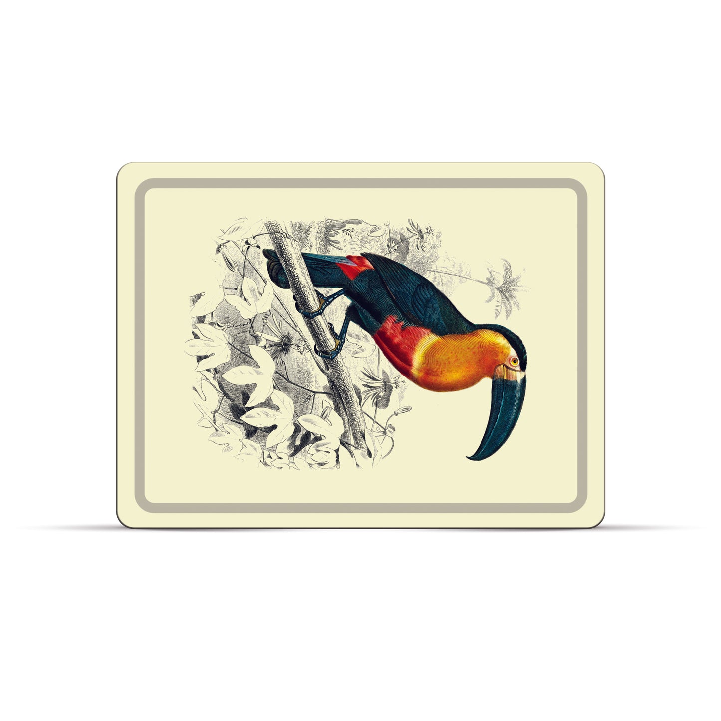 Plateau Toucan