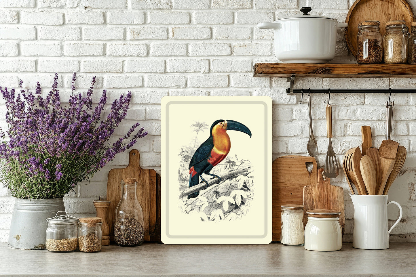 Plateau Toucan